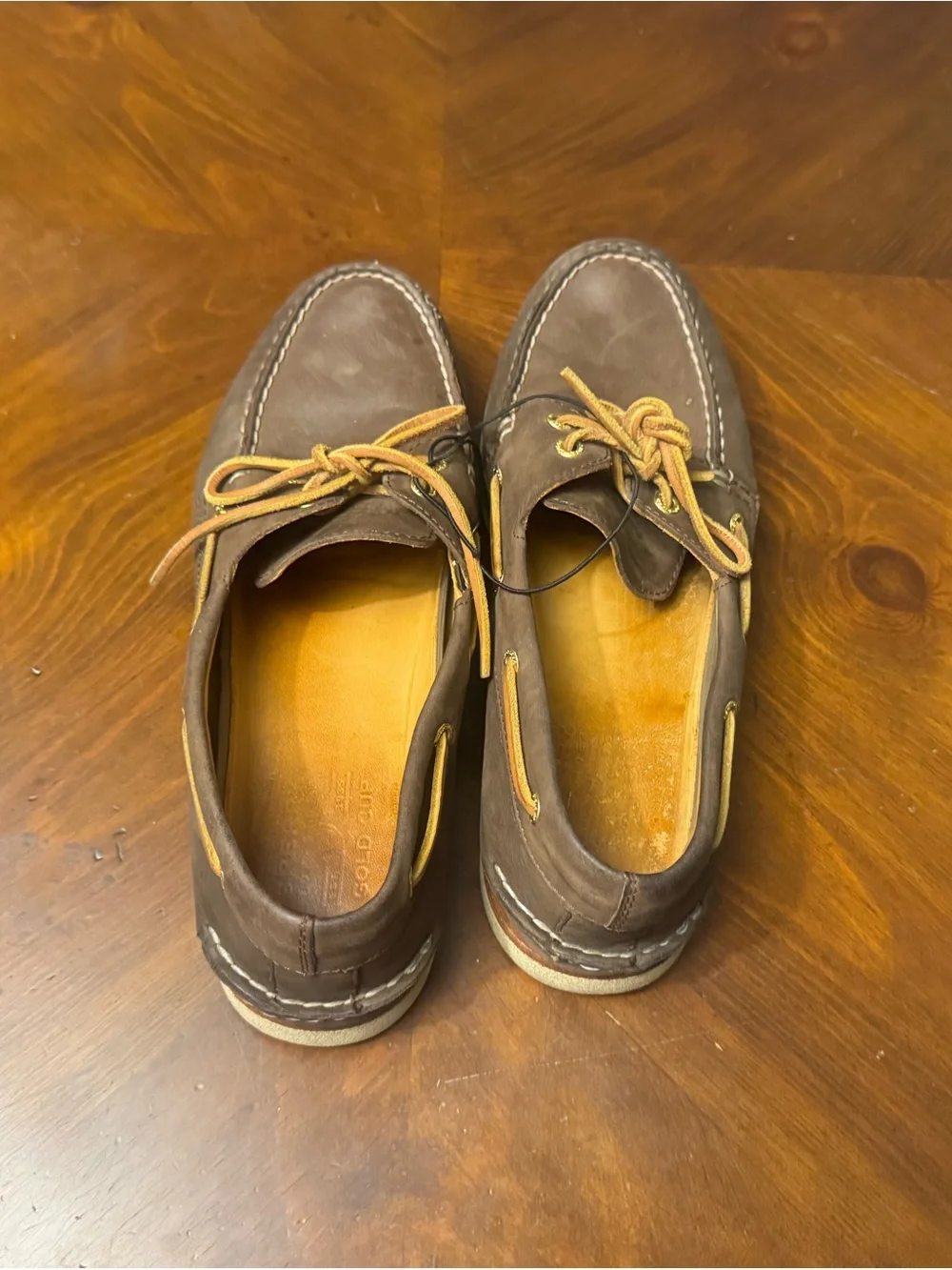 Sperry gold cup